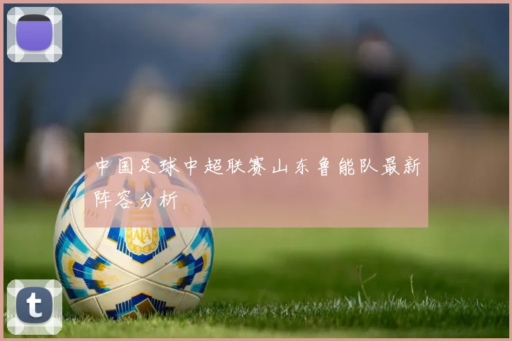 中国足球中超联赛山东鲁能队最新阵容分析