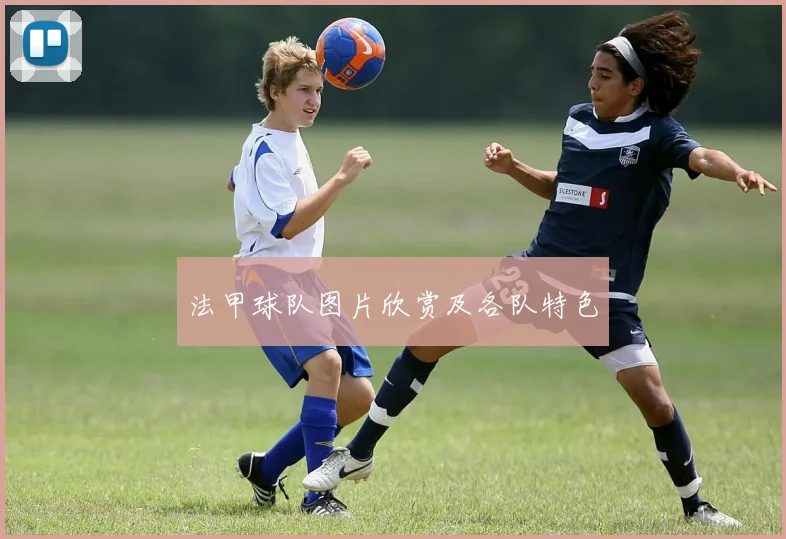 法甲球队图片欣赏及各队特色