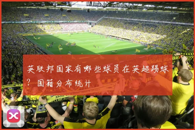 英联邦国家有哪些球员在英超踢球？国籍分布统计