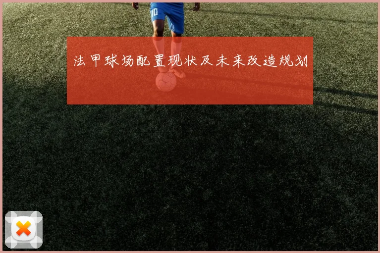 法甲球场配置现状及未来改造规划