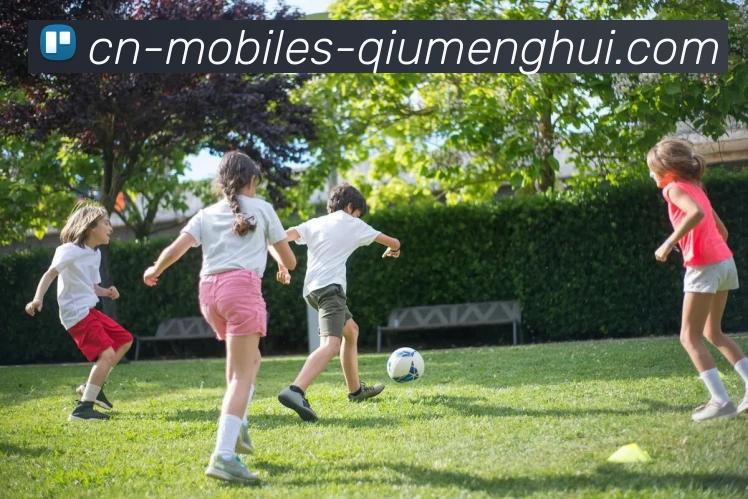 球盟会APP 高清赛事图